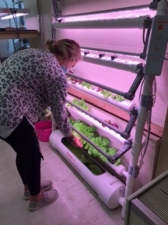 Hydroponic